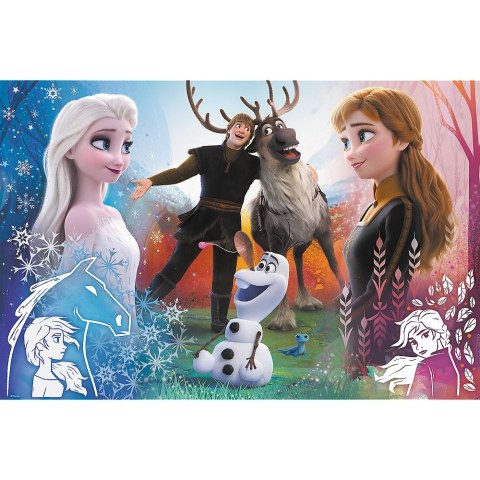 Trefl Puzzle Trefl Frozen 2 300 el. (23006)