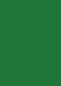 Titanum Arkusz piankowy Titanum Craft-Fun Series pianka dekoracyjna A4 5 szt. kolor: zielony ciemny 5 ark. (6121)