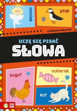 Zielona Sowa Książeczka edukacyjna Zielona Sowa Uczę się pisać. Słowa