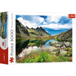 Trefl Puzzle Trefl STAROLEŚNIAŃSKI STAW 3000 el. (33031)