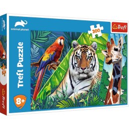 Trefl Puzzle Trefl 300 el. (23007)