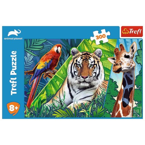 Trefl Puzzle Trefl 300 el. (23007)