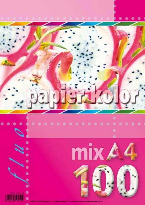 Kreska Papier kolorowy fluo A4 mix 80g Kreska