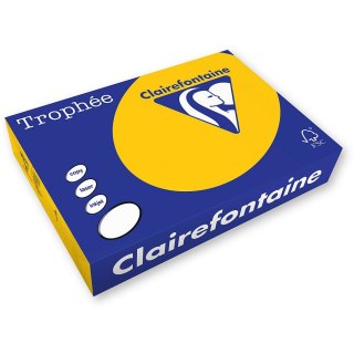 Trophee Papier kolorowy Trophee A3 złoty 80g [mm:] 297x420 (xca31255)