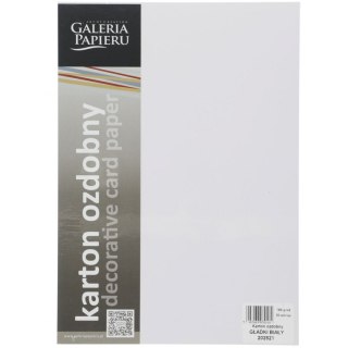 Galeria Papieru Papier ozdobny (wizytówkowy) Galeria Papieru gładki biały A4 biały 160g (202821)