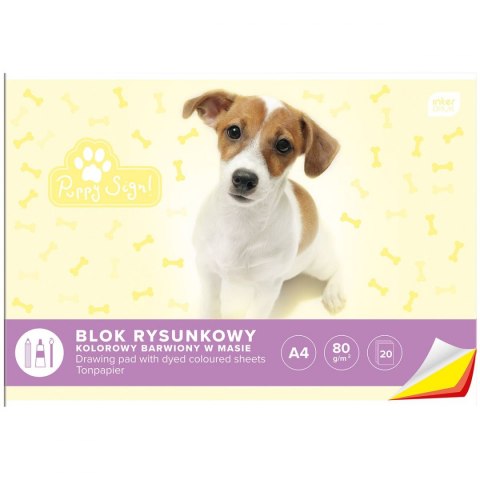 Interdruk Blok rysunkowy Interdruk bloki A4 kolorowy 80g 20k [mm:] 210x297 (BLRK)