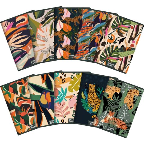 Top 2000 Zeszyt Top 2000 COLLAGE TROPICS A5 96k. 70g linia (400157940)