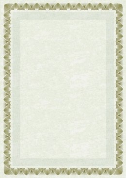 Galeria Papieru Dyplom arkady złote A4 170g Galeria Papieru (210717)