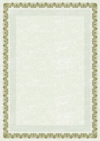 Galeria Papieru Dyplom Galeria Papieru arkady złote A4 170g (210717)