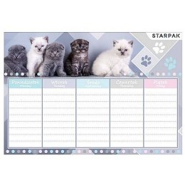 Starpak Plan lekcji Cuties Starpak (409085)
