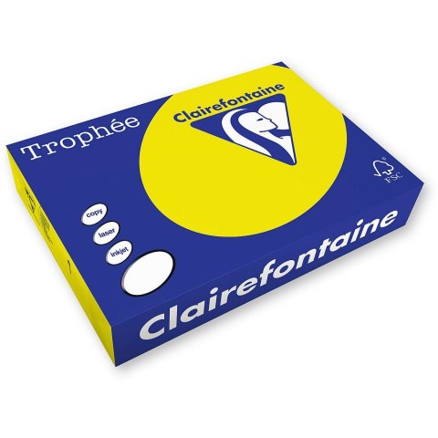 Trophee Papier kolorowy Trophee kolorowy A4 słoneczny 160g (xca41029)