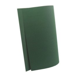 Titanum Karton falisty zielony Zielony [mm:] 500x700 Titanum (740)