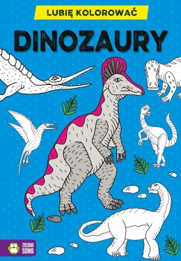 Zielona Sowa Książeczka edukacyjna Lubię kolorować. Dinozaury Zielona Sowa