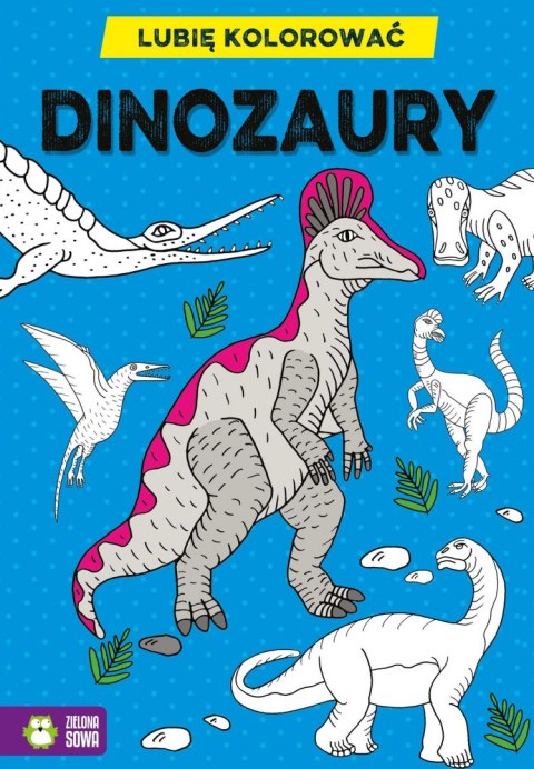 Zielona Sowa Książeczka edukacyjna Zielona Sowa Lubię kolorować. Dinozaury