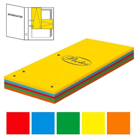 Protos Przekładka czysta Protos 1/3 A4 mix kolorów 160g 100k