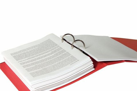 Esselte Segregator dźwigniowy No.1 Power A4 75mm zielony Esselte (811360)