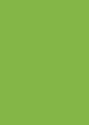 Titanum Arkusz piankowy Titanum Craft-Fun Series pianka dekoracyjna A4 5 szt. kolor: zielony jasny 5 ark. (6124)