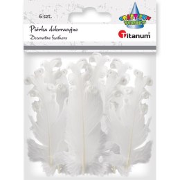 Titanum Piórka Titanum Craft-Fun Series biały 6 szt