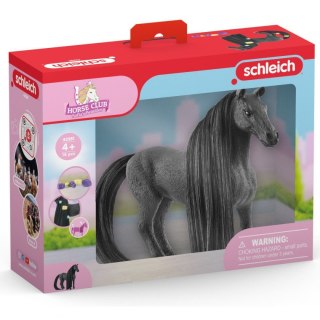 Schleich Figurka Schleich Klacz Criollo Definitivo (SLH42581)