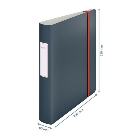 Leitz Segregator dźwigniowy Leitz Cosy Active A4 50mm szary (10390089)