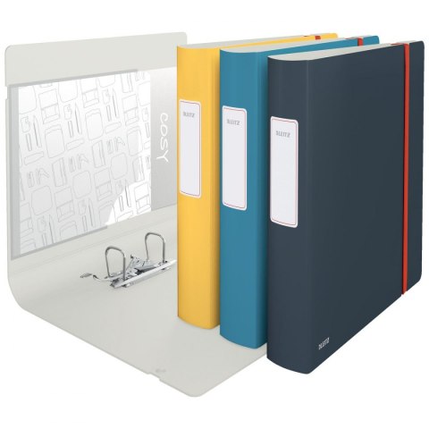 Leitz Segregator dźwigniowy Leitz Cosy Active A4 50mm szary (10390089)