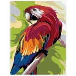 Norimpex Zestaw kreatywny Norimpex malowanie po numerach - papuga 30x40cm (NO-1007585)