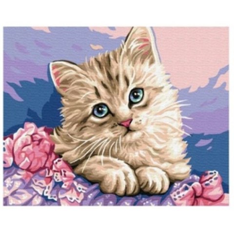 Norimpex Zestaw kreatywny Norimpex malowanie po numerach - kotek w fiolecie 30x40cm (NO-1007570)