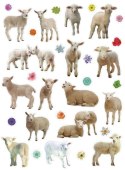Titanum Naklejka (nalepka) Craft-Fun Series Sheep Titanum