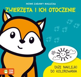 Zielona Sowa Książeczka edukacyjna Zwierzęta i ich otoczenie Zielona Sowa