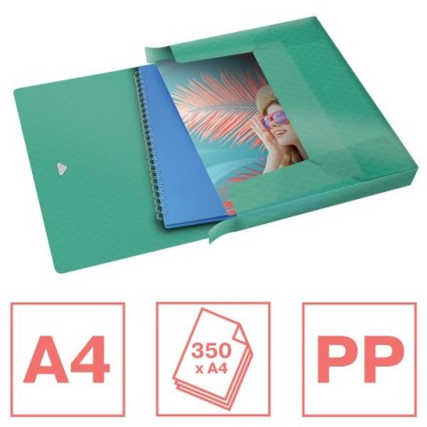 Esselte Teczka plastikowa na gumkę Colour Breeze poszerzana A4 zielony Esselte (626265) Esselte Teczka plastikowa na gumkę Colour Breeze poszerzana A4 zielony Esselte (626265)