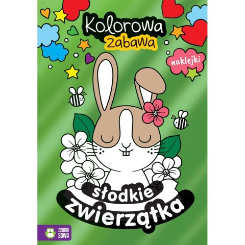 Zielona Sowa Książeczka edukacyjna Zielona Sowa Kolorowa zabawa Słodkie zwierzęta