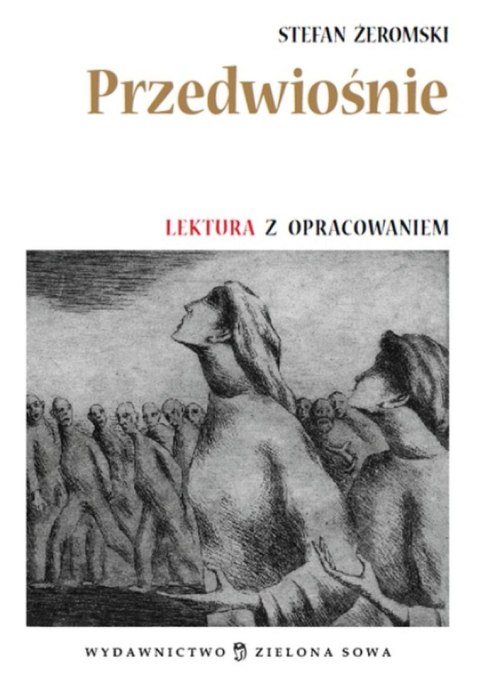 Ameet Książeczka edukacyjna Ameet mój brat niedźwiedź (RAD16)