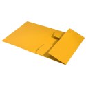Leitz Teczka kartonowa recycle A4 żółta 430g Leitz (39060015)