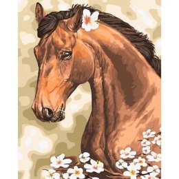Norimpex Zestaw kreatywny Norimpex malowanie po numerach -koń z kwiatkami (NO-1007666)