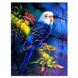 Norimpex Zestaw kreatywny Norimpex Diamentowa mozaika niebieska papuga 40x30cm (NO-1007439)