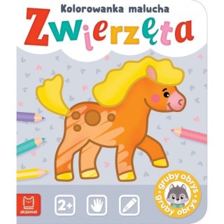 Aksjomat Książeczka edukacyjna Aksjomat Zwierzęta. Kolorowanka malucha