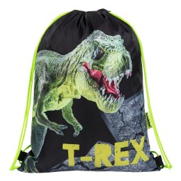 St.Right Worek na buty T-REX St.Right (5903235650536)