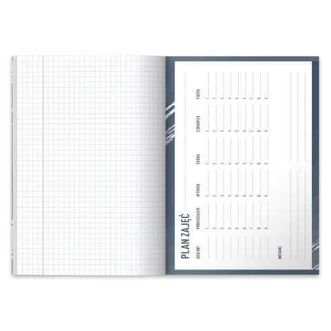 Herlitz Zeszyt Herlitz Sport A4 60k. krata (9554023)