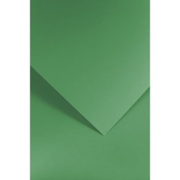 Galeria Papieru Papier ozdobny (wizytówkowy) gładki zielony A4 zielony 210g Galeria Papieru (205512)