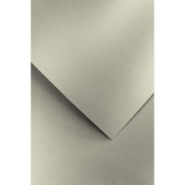 Galeria Papieru Papier ozdobny (wizytówkowy) pearl srebrny A4 srebrny 250g Galeria Papieru (205466)