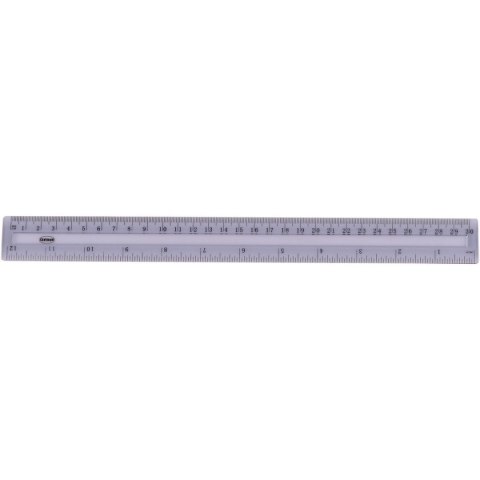 Panta Plast Linijka plastikowa Panta Plast 30cm (80727) Panta Plast Linijka plastikowa Panta Plast 30cm (80727)