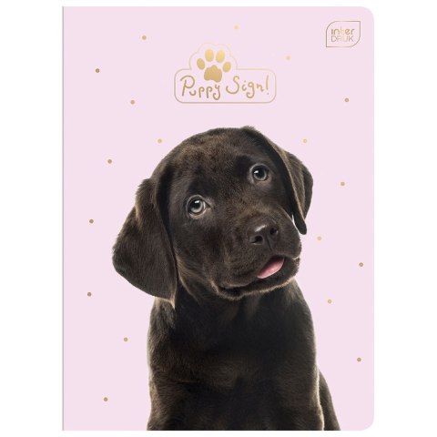 Interdruk Zeszyt Interdruk PUPPY SIGN A5 32k. 70g krata (ZE32#PUP)