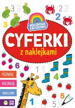 Zielona Sowa Książeczka edukacyjna Kolorowa Akademia. Cyferki z naklejkami Zielona Sowa