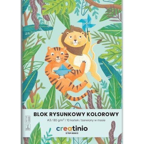 Top 2000 Blok rysunkowy Top 2000 Creatinio A3 kolorowy 80g 10k (400176666)