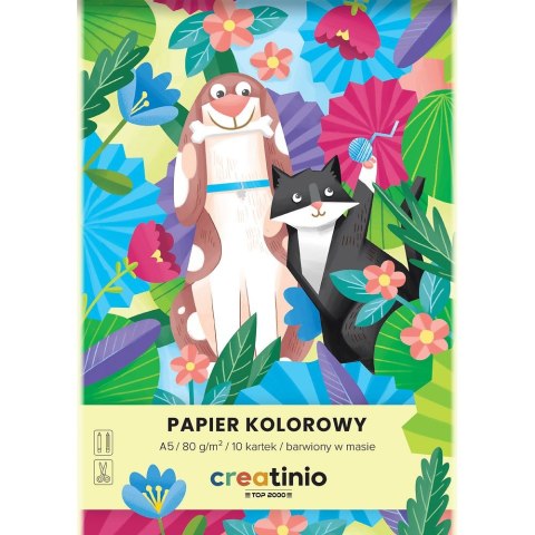 Top 2000 Papier kolorowy Top 2000 Creatinio A5 mix 80g (400176683)