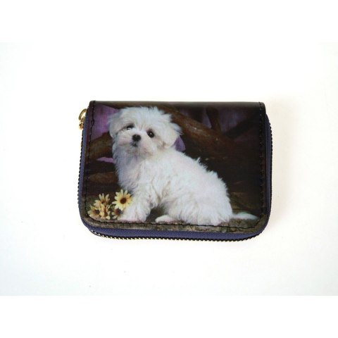 Adar Portfel zapinany na zamek, 10x6cm, pieski mix Adar (556454)