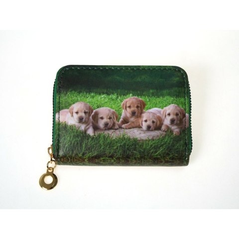 Adar Portfel zapinany na zamek, 10x6cm, pieski mix Adar (556454)