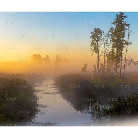 Lucrum Kalendarz ścienny Lucrum MAGICZNA POLSKA 13-planszowe 2024 320mm x 470mm (RW02)