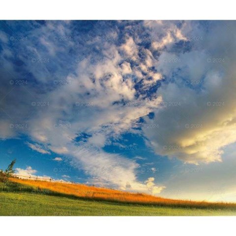 Lucrum Kalendarz ścienny Lucrum MAGICZNA POLSKA 13-planszowe 2024 320mm x 470mm (RW02)