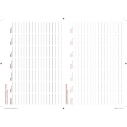 Avanti Kalendarz książkowy (terminarz) Avanti terminarz A5 (5902641332548)